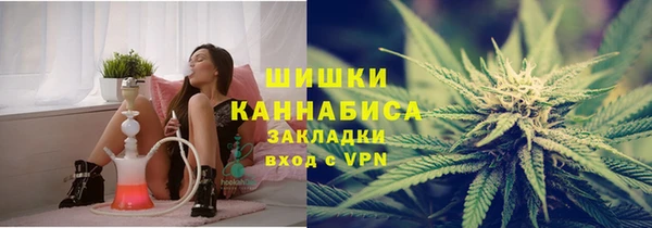 сатива Белокуриха