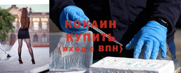 сатива Белокуриха
