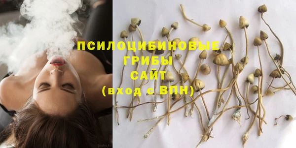 шишки Переславль-Залесский