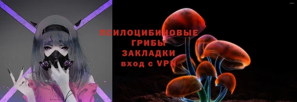сатива Белокуриха