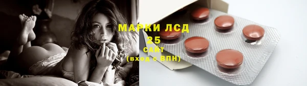 сатива Белокуриха