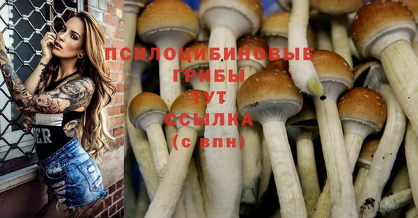 стафф Беломорск