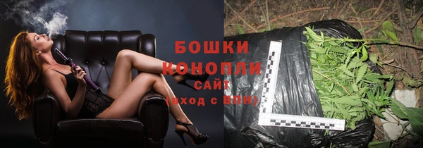 шишки Переславль-Залесский