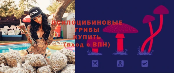 стафф Беломорск