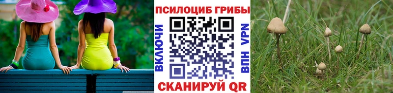 Галлюциногенные грибы мицелий  купить наркоту  Павловск 