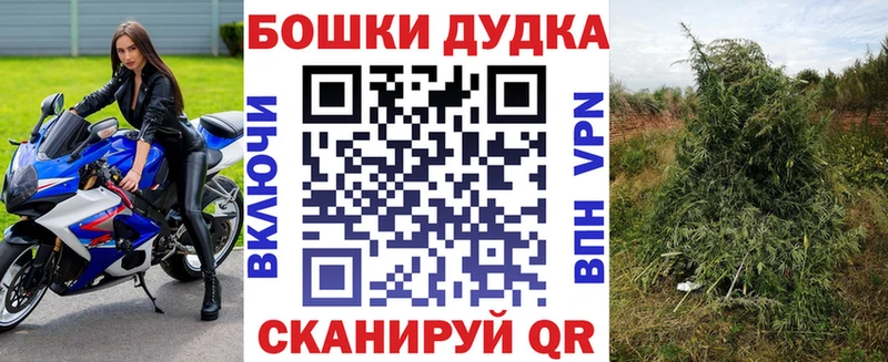 дарк нет как зайти  Павловск  Шишки марихуана Bruce Banner 